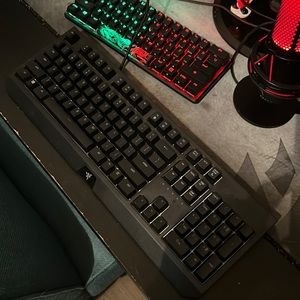 Brand new keyboard Razer Blackwidow everything works, only thing is no box.